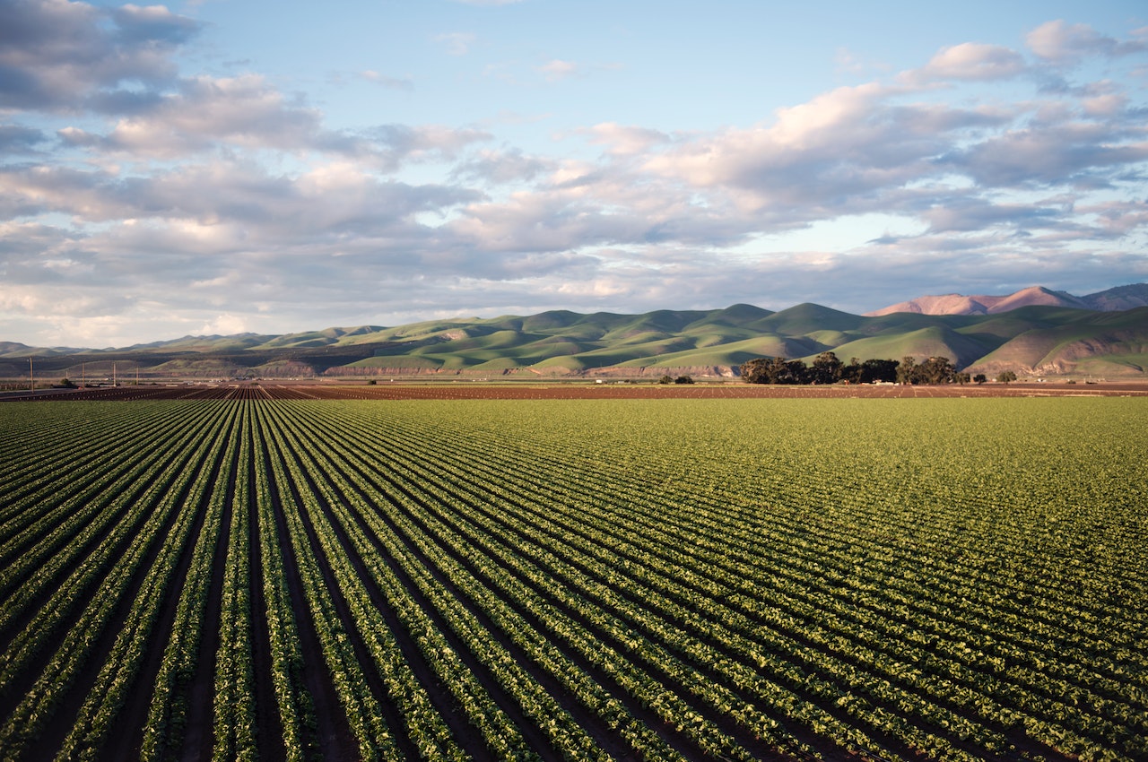 Farm and Ranch